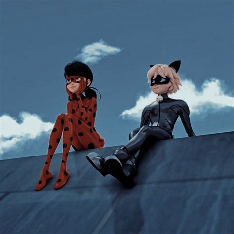 Ladybug And Cat Noir Aesthetic Wallpaper Both Can Fly In Outer Space