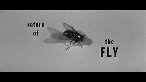 Return Of The Fly Blu Ray Review Laptrinhx News