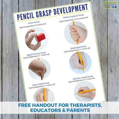 Pencil Grasp Development Handout Pencil Grasp Pencil Grasp