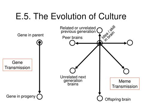 Ppt The Evolution Of Culture Powerpoint Presentation Free Download