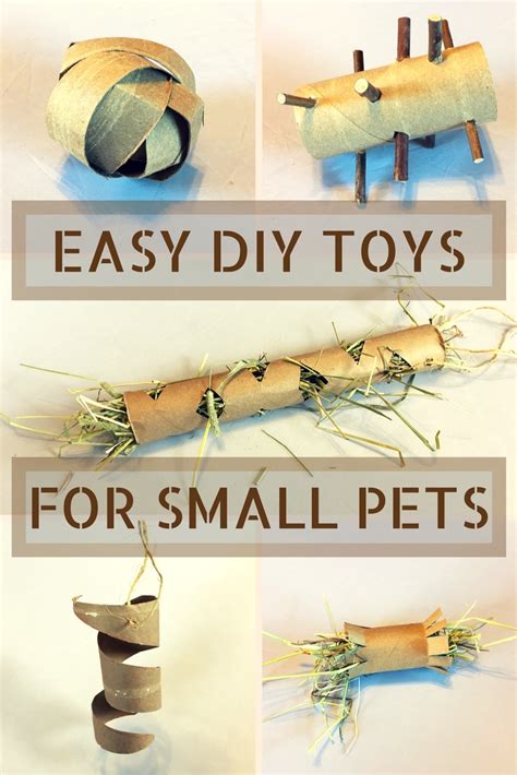 Since rabbits love to shred things, try giving your bunny old towels, phone books, newspapers, magazines, and cardboard tubes that you. DIY Toilet Paper Roll Toys for Small Pets - Exotic Animal ...