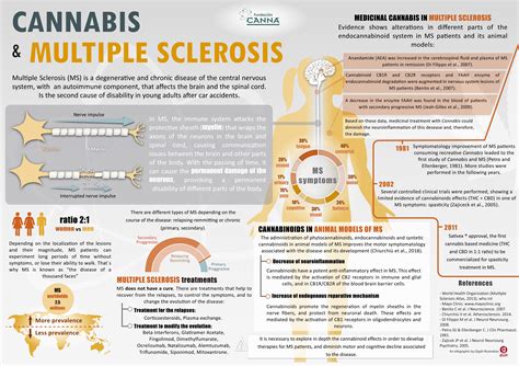 Cannabis And Multiple Sclerosis Fundación Canna Scientific Studies And