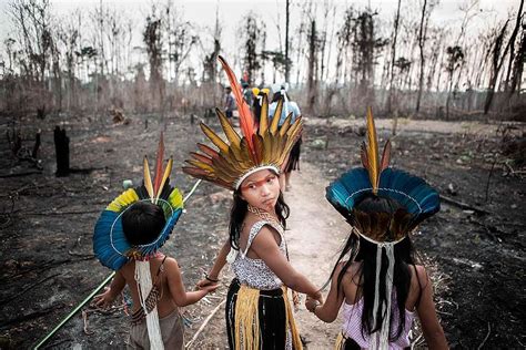 greenpeace brings stories of the indigenous people of the amazon this year fires raged mainly
