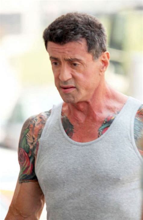 Sylvester stallone was born on 6 july 1946 in hell's kitchen manhattan usa. Rambo Turned 65 Years Old - Barnorama