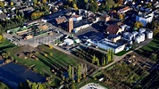 Luftbild Meckenheim - Werksgelände der Krautfabrik Josef Schmitz KG in ...