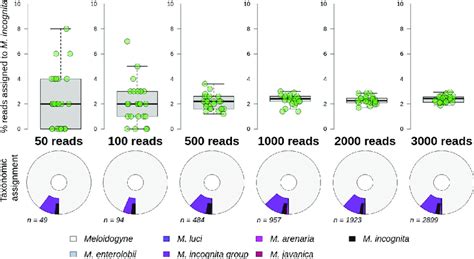 Taxonomic Assignment Success Of M Incognita Reads Varied By Read