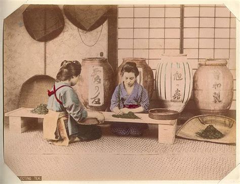 Filekusakabe Kimbei 396 Selecting Tea Wikimedia Commons