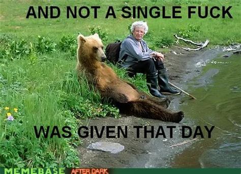 Funny Bear Meme