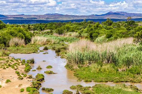 Pauls River In Cradock Eastern Cape South Africa Stock Photo Download