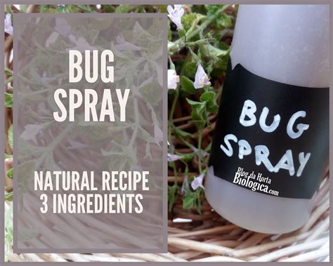 Homemade Bug Spray Natural Recipe 3 Ingredients