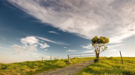 Only the best hd background pictures. Hdwallpapers87.com - Download Blue sky and a green field ...