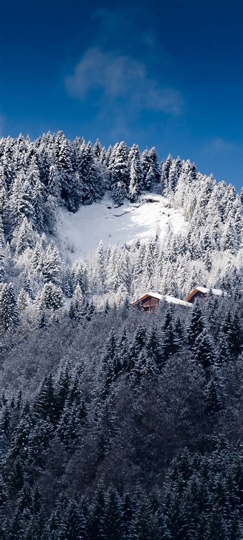 Alps Mountains Snow Trees 1080x2400