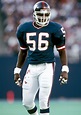 Lawrence Taylor Wallpapers - Top Free Lawrence Taylor Backgrounds ...