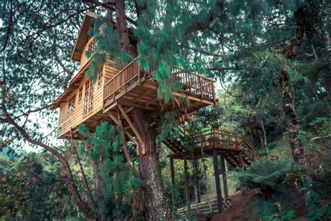8 Unbelievable Fairytale Treehouses You Can Rent In The Us Usa Wanderers