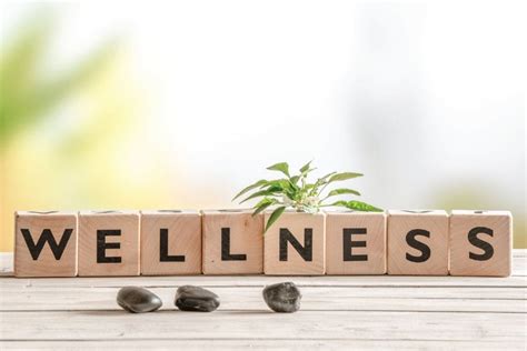 Descubre El Wellness Salud Integral Y Equilibrio Cuerpo Mente