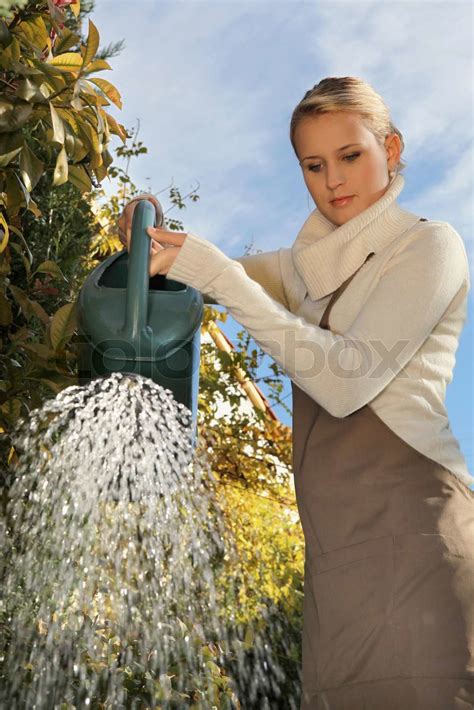 Women In The Garden Watering Her Plants Stock Image Colourbox