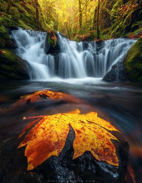 Chasing Waterfalls With Steve Schwindt Fotografi Alam Alam Fotografi