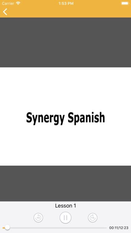 Synergy Spanish 8x By Santamaria Spanish Services