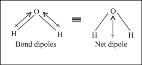 Chemistry Chemical Bonding Dipole Moment Carbon Dioxide And Water