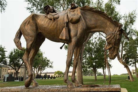 Mustang Day Heart Meets Horse At Kayenta Korrals Wild Horse Sanctuary