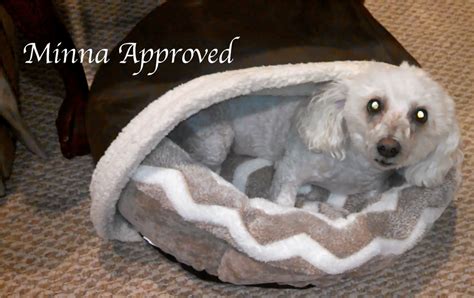 Bedhug Burrow Blanket For Dogs And Cats Hot Coupon Offers
