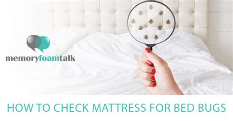 Bed bugs tend to hide on the bed frame, or around the seams of the mattresses and baseboard. How to Check Mattress for Bed Bugs | Memory Foam Talk
