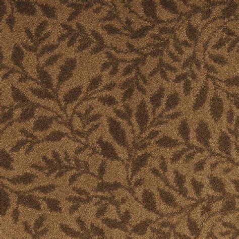 Stainmaster Rustic Brown Carpet Sample At