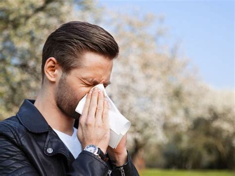 Sneezing And Wheezing Try These Tips To Treat Seasonal Allergies