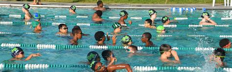 Greenbelt Municipal Swim Team Home Of The Greenbelt Barracudas The