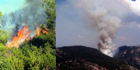 Check spelling or type a new query. Muğla Milas' ta orman yangını başladı - GÜNDEM - Zamanında ...