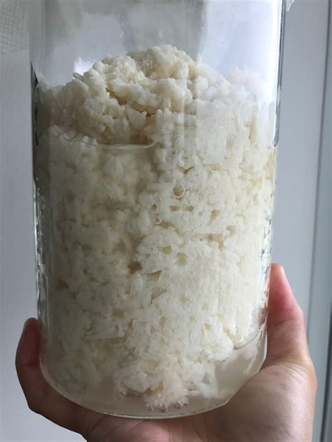 How To Make Rice Wine At Home Lipo Lounge