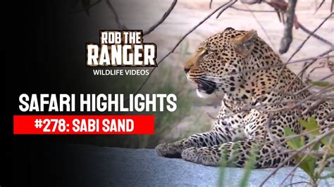 Safari Highlights 278 03 05 July 2014 Sabi Sand Wildtuin Latest