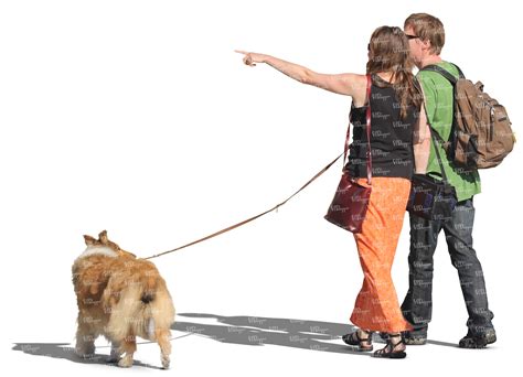Person Walking A Dog Walking Dog Wag App Things Living Culture Splash