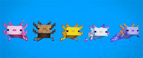 The minecraft axolotl mob is just one of the new animals to be added with the 1.17 update, though you may want to be wary around goats, which will do their best to throw you from their mountainside homes. Snapshot 20w51 Nowy mob Axolotl na koniec roku - minecraft ...