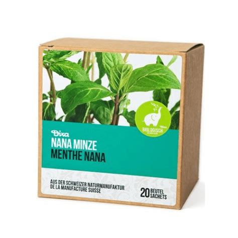 Buy Dixa Moroccan Mint Nana Organic Pyramid Bag 20pcs Kanela