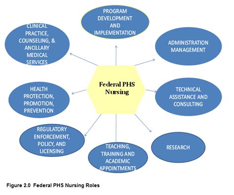 What Are The Roles Of Public Health Nurses