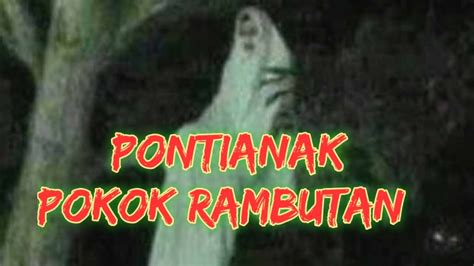 Ada sambungan untuk kisah seram ni! Kisah Seram Benar Menjolok Rambutan Terjolok Pontianak ...