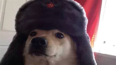 Comrade Doggo Video Gallery Sorted By Score Know Your Meme