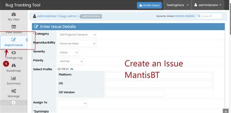 Mantisbt Issue Lifecycle