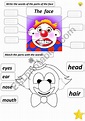 the parts of the face - ESL worksheet by aidamour