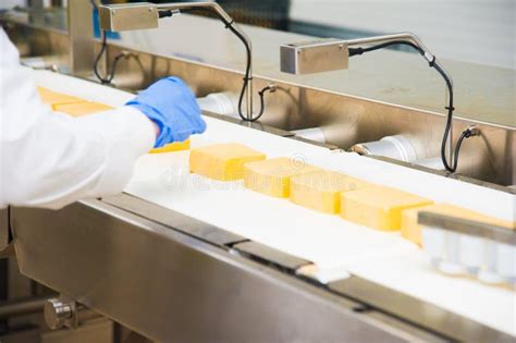 Industrial Production Of Hard Cheeses Stock Image Image Of Processing