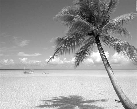 Beach Black And White Wallpapers Top Free Beach Black And White