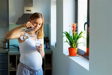 Hidratarse Durante El Embarazo Quality Water