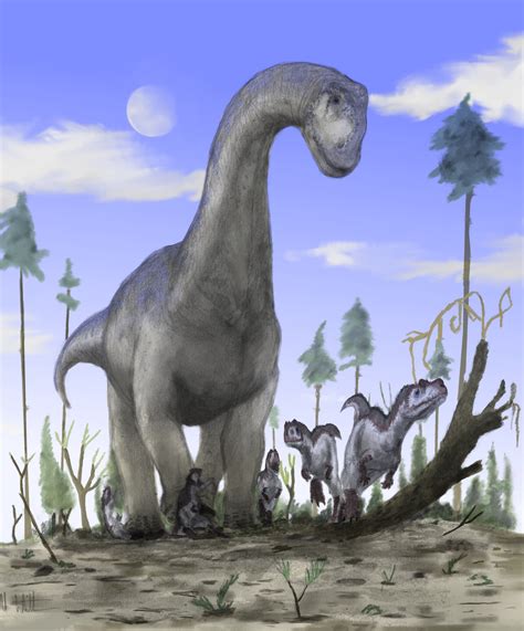 Sauropod History And Some Interesting Facts