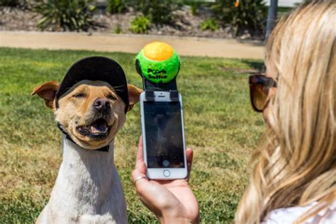 How To Get Your Dog To Smile In A Selfie Clever Dog Products Pooch