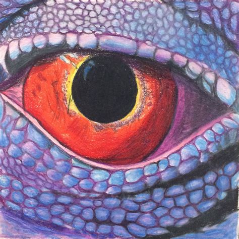 Eye Drawing Colored Pencils Art Lesson Dragon Eye Drawing Art