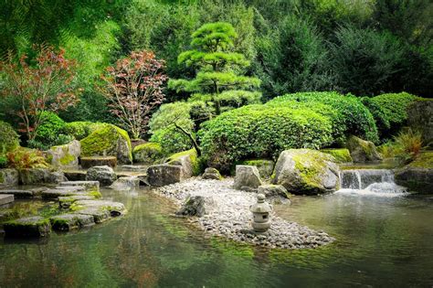 08 Best Zen Garden Ideas on a Budget - SlushWeb
