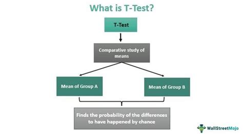 T Test Meaning Types Examples Formula Calculation