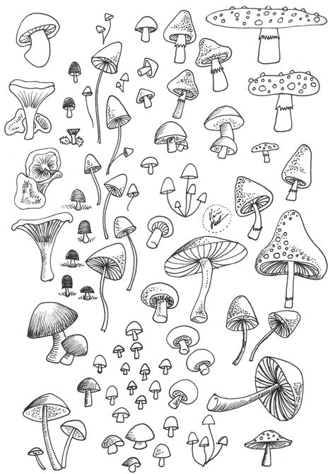 printable mushrooms