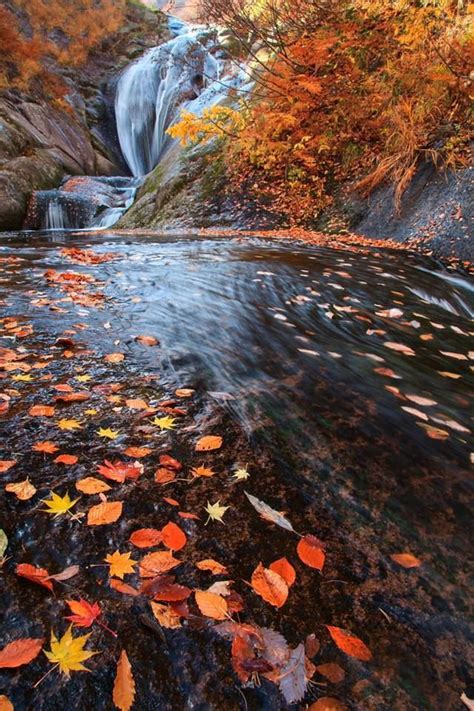 Autumn River Japan 🍁🍁 Fall River River Nature